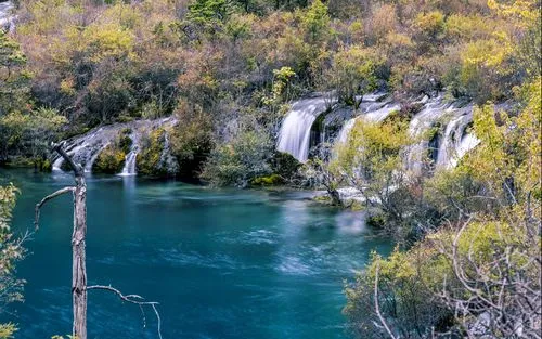 高精度独特高精度